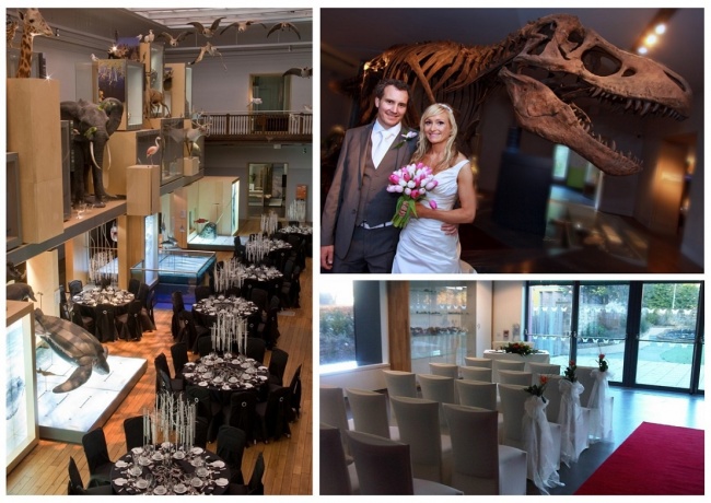 Dinosaur themed wedding